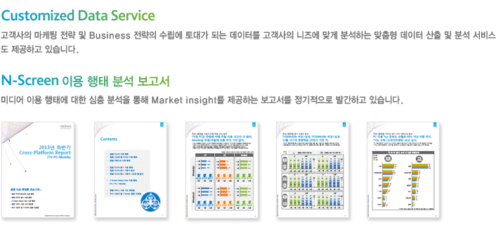 Customized Data Service/N-Screen 이용 행태 분석 보고서